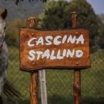 Casa Vacanze Stallino